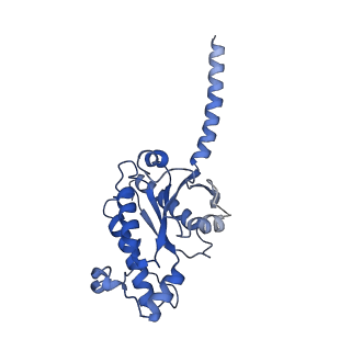 32965_7x2d_A_v1-2
Cryo-EM structure of the tavapadon-bound D1 dopamine receptor and mini-Gs complex