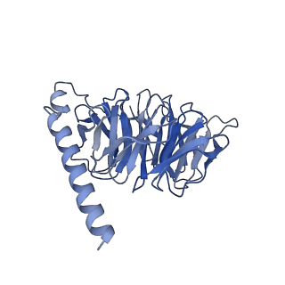 32965_7x2d_B_v1-2
Cryo-EM structure of the tavapadon-bound D1 dopamine receptor and mini-Gs complex