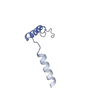 32965_7x2d_D_v1-2
Cryo-EM structure of the tavapadon-bound D1 dopamine receptor and mini-Gs complex