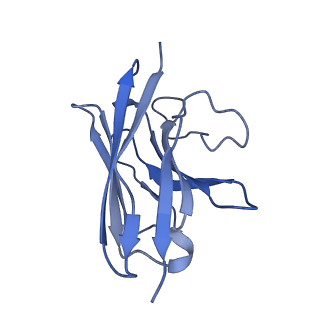 32965_7x2d_E_v1-2
Cryo-EM structure of the tavapadon-bound D1 dopamine receptor and mini-Gs complex