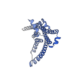 32965_7x2d_F_v1-2
Cryo-EM structure of the tavapadon-bound D1 dopamine receptor and mini-Gs complex