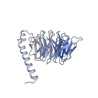 32966_7x2f_B_v1-1
Cryo-EM structure of the dopamine and LY3154207-bound D1 dopamine receptor and mini-Gs complex