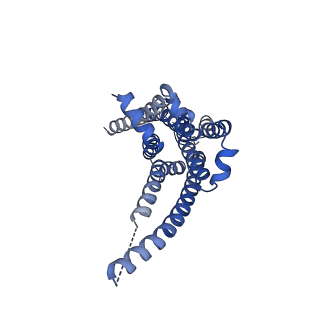 32966_7x2f_F_v1-1
Cryo-EM structure of the dopamine and LY3154207-bound D1 dopamine receptor and mini-Gs complex