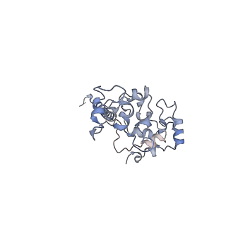 38012_8x2j_A_v1-0
Cryo-EM structure of the photosynthetic alternative complex III with a quinone inhibitor HQNO from Chloroflexus aurantiacus