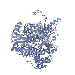 38012_8x2j_B_v1-0
Cryo-EM structure of the photosynthetic alternative complex III with a quinone inhibitor HQNO from Chloroflexus aurantiacus