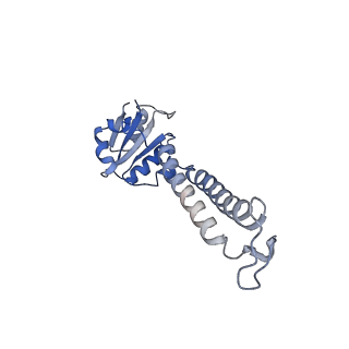 38012_8x2j_D_v1-0
Cryo-EM structure of the photosynthetic alternative complex III with a quinone inhibitor HQNO from Chloroflexus aurantiacus