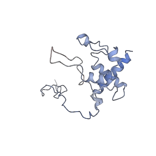 38012_8x2j_E_v1-0
Cryo-EM structure of the photosynthetic alternative complex III with a quinone inhibitor HQNO from Chloroflexus aurantiacus