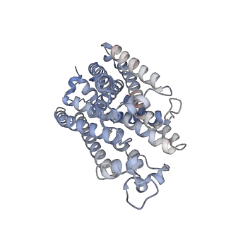 38012_8x2j_F_v1-0
Cryo-EM structure of the photosynthetic alternative complex III with a quinone inhibitor HQNO from Chloroflexus aurantiacus