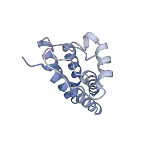 38016_8x2l_A_v1-0
Structure of human phagocyte NADPH oxidase in the resting state in the presence of 2 mM NADPH