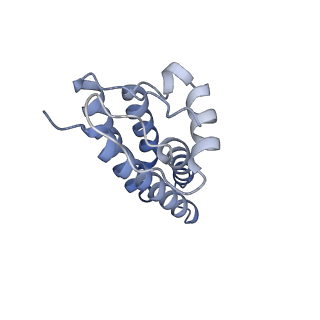 38016_8x2l_A_v1-2
Structure of human phagocyte NADPH oxidase in the resting state in the presence of 2 mM NADPH