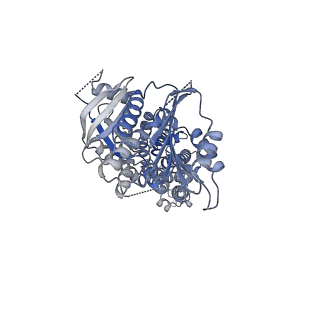 38016_8x2l_B_v1-0
Structure of human phagocyte NADPH oxidase in the resting state in the presence of 2 mM NADPH