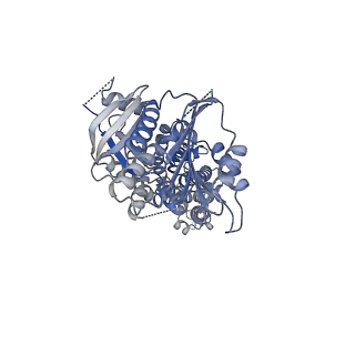 38016_8x2l_B_v1-2
Structure of human phagocyte NADPH oxidase in the resting state in the presence of 2 mM NADPH