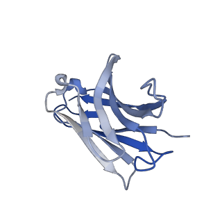 38016_8x2l_H_v1-2
Structure of human phagocyte NADPH oxidase in the resting state in the presence of 2 mM NADPH