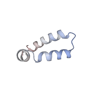 38020_8x2u_C_v1-0
Radial spoke head-neck dimer