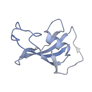 22015_6x32_A_v1-2
Wt pig RyR1 in complex with apoCaM, EGTA condition (class 1 and 2, closed)