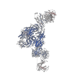 22015_6x32_B_v1-2
Wt pig RyR1 in complex with apoCaM, EGTA condition (class 1 and 2, closed)