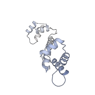 22015_6x32_C_v1-2
Wt pig RyR1 in complex with apoCaM, EGTA condition (class 1 and 2, closed)