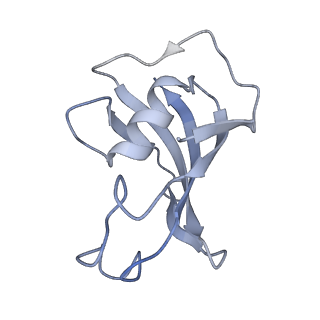 22015_6x32_D_v1-2
Wt pig RyR1 in complex with apoCaM, EGTA condition (class 1 and 2, closed)