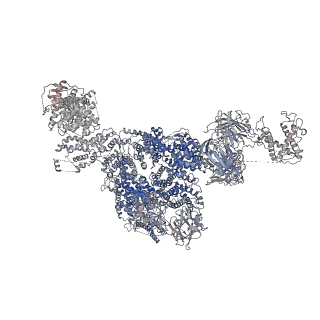 22015_6x32_E_v1-2
Wt pig RyR1 in complex with apoCaM, EGTA condition (class 1 and 2, closed)