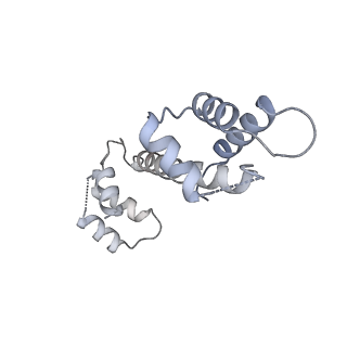 22015_6x32_F_v1-2
Wt pig RyR1 in complex with apoCaM, EGTA condition (class 1 and 2, closed)