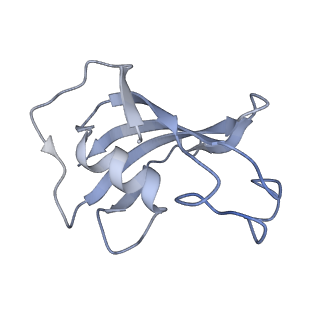 22015_6x32_G_v1-2
Wt pig RyR1 in complex with apoCaM, EGTA condition (class 1 and 2, closed)