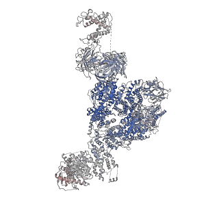 22015_6x32_H_v1-2
Wt pig RyR1 in complex with apoCaM, EGTA condition (class 1 and 2, closed)