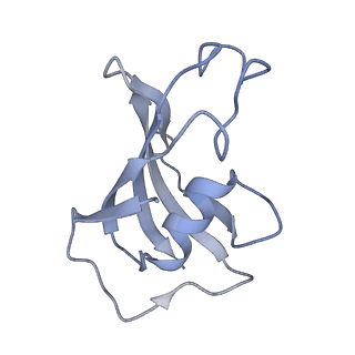 22015_6x32_J_v1-2
Wt pig RyR1 in complex with apoCaM, EGTA condition (class 1 and 2, closed)