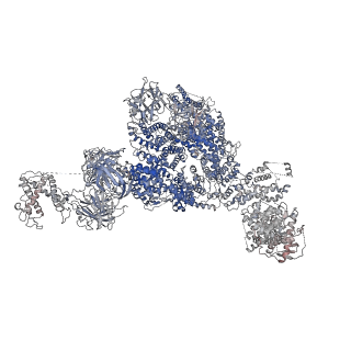 22015_6x32_K_v1-2
Wt pig RyR1 in complex with apoCaM, EGTA condition (class 1 and 2, closed)