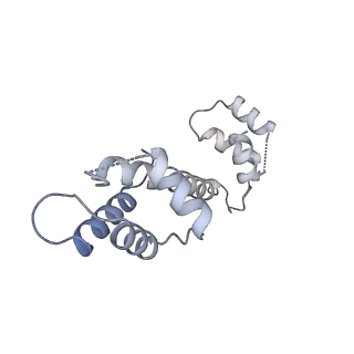 22015_6x32_L_v1-2
Wt pig RyR1 in complex with apoCaM, EGTA condition (class 1 and 2, closed)