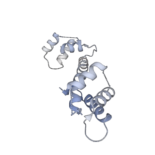 22016_6x33_C_v1-2
Wt pig RyR1 in complex with apoCaM, EGTA condition (class 3, open)