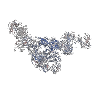 22016_6x33_E_v1-2
Wt pig RyR1 in complex with apoCaM, EGTA condition (class 3, open)