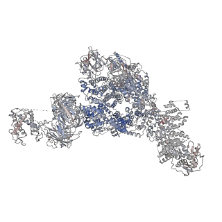 22016_6x33_K_v1-2
Wt pig RyR1 in complex with apoCaM, EGTA condition (class 3, open)