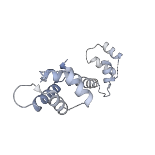 22016_6x33_L_v1-2
Wt pig RyR1 in complex with apoCaM, EGTA condition (class 3, open)