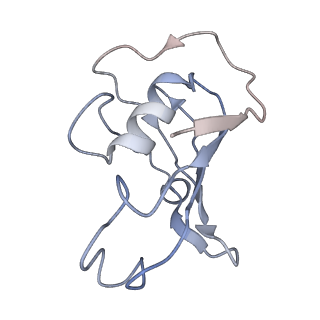 22018_6x35_A_v1-2
Pig R615C RyR1 in complex with CaM, EGTA (class 1, open)