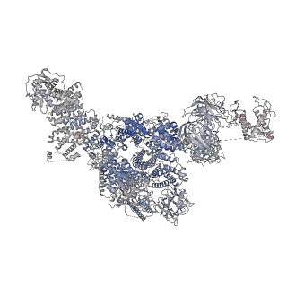 22018_6x35_B_v1-2
Pig R615C RyR1 in complex with CaM, EGTA (class 1, open)