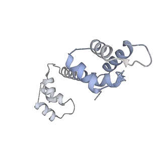 22018_6x35_C_v1-2
Pig R615C RyR1 in complex with CaM, EGTA (class 1, open)