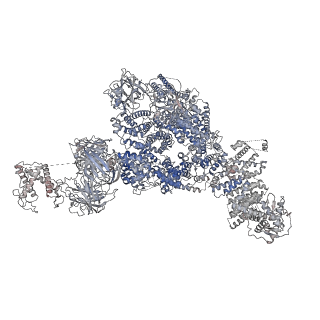 22018_6x35_H_v1-2
Pig R615C RyR1 in complex with CaM, EGTA (class 1, open)