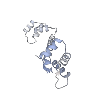 22018_6x35_L_v1-2
Pig R615C RyR1 in complex with CaM, EGTA (class 1, open)