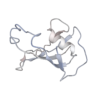 22019_6x36_A_v1-2
Pig R615C RyR1 in complex with CaM, EGTA (class 3, closed)