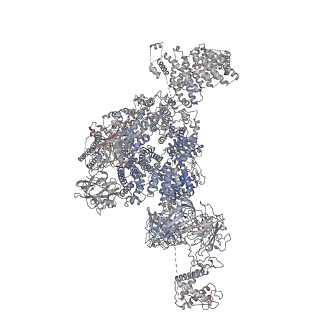 22019_6x36_B_v1-2
Pig R615C RyR1 in complex with CaM, EGTA (class 3, closed)