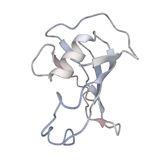 22019_6x36_D_v1-2
Pig R615C RyR1 in complex with CaM, EGTA (class 3, closed)