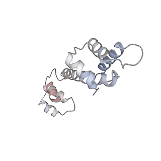 22019_6x36_F_v1-2
Pig R615C RyR1 in complex with CaM, EGTA (class 3, closed)