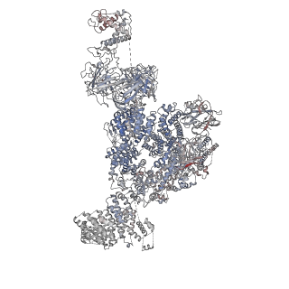 22019_6x36_H_v1-2
Pig R615C RyR1 in complex with CaM, EGTA (class 3, closed)