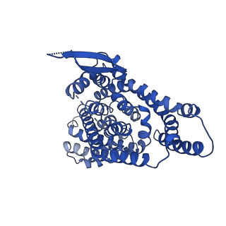 22020_6x3e_B_v1-1
hEAAT3-Asymmetric-1o2i