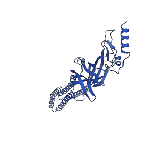 22031_6x3s_A_v1-2
Human GABAA receptor alpha1-beta2-gamma2 subtype in complex with bicuculline methbromide