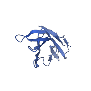 22031_6x3s_K_v1-2
Human GABAA receptor alpha1-beta2-gamma2 subtype in complex with bicuculline methbromide