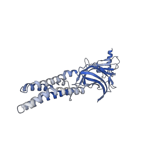 22032_6x3t_A_v1-2
Human GABAA receptor alpha1-beta2-gamma2 subtype in complex with GABA plus propofol