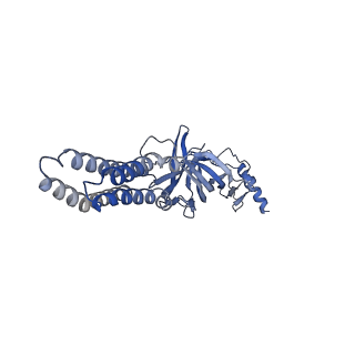 22032_6x3t_C_v1-2
Human GABAA receptor alpha1-beta2-gamma2 subtype in complex with GABA plus propofol