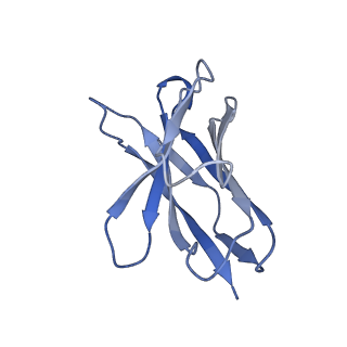22032_6x3t_J_v1-2
Human GABAA receptor alpha1-beta2-gamma2 subtype in complex with GABA plus propofol