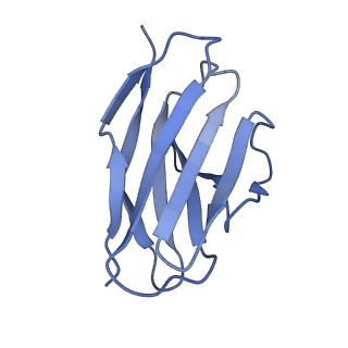 22032_6x3t_L_v1-2
Human GABAA receptor alpha1-beta2-gamma2 subtype in complex with GABA plus propofol